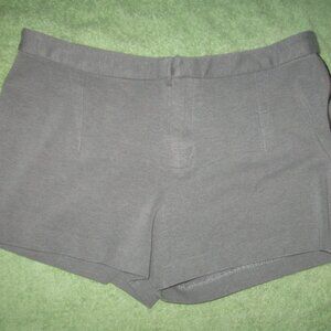 T ALEXANDER WANG Side Zip Bite Gray Shorts Sz L 2.75" INSM Designer Hot …